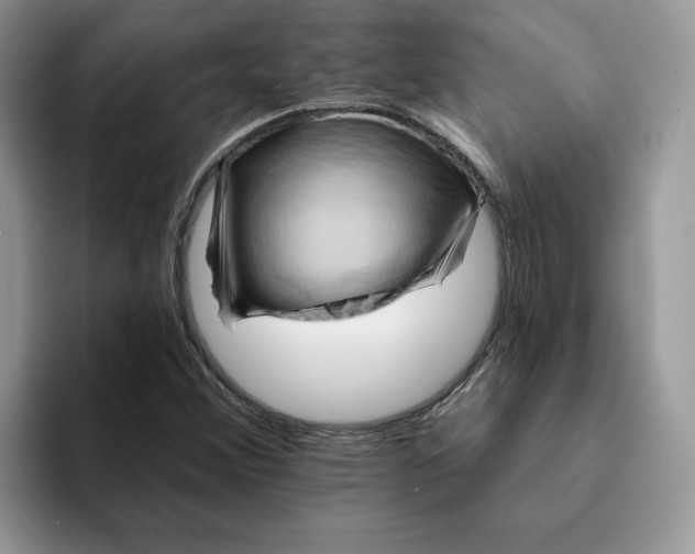 X0000093221356200710171352