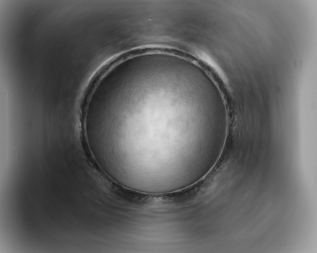 X0000093221360200710171352