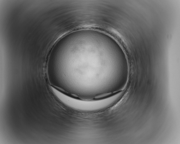 X0000093221361200710171352