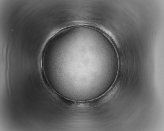 X0000093221365200710171351