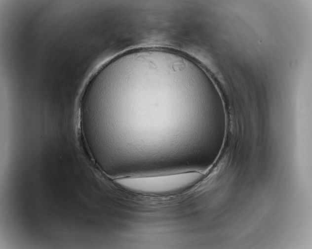 X0000093221366200710171351