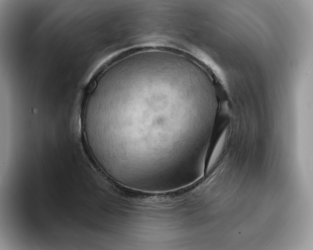 X0000093221368200710171351