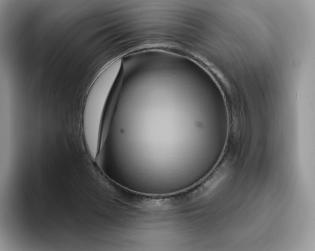 X0000093221369200710171351