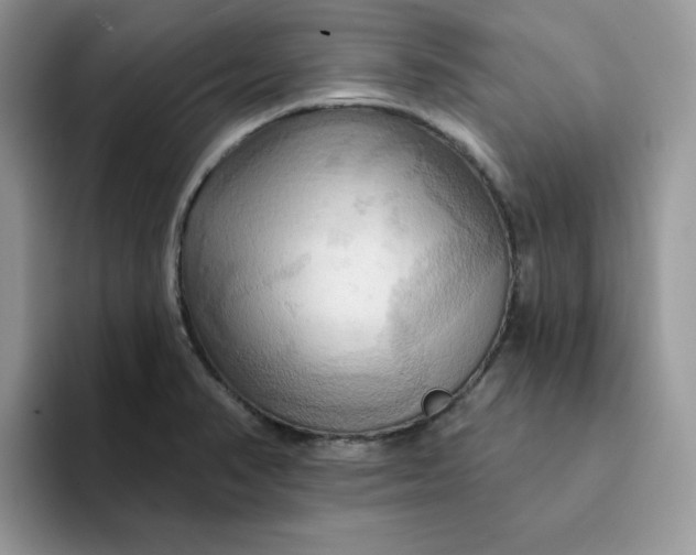 X0000093221374200710171351