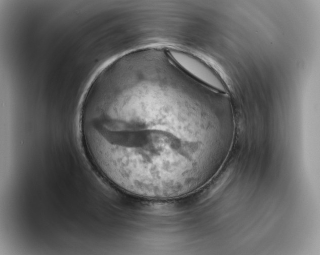 X0000093221375200710171351