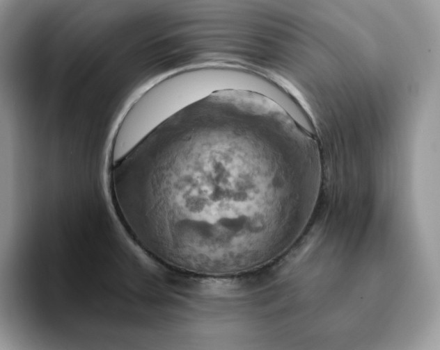 X0000093221379200710171351