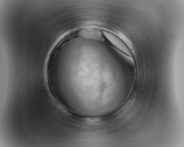 X0000093221384200710171351