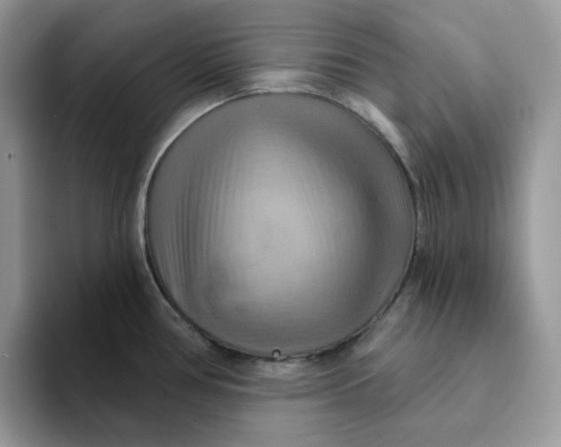 X0000093221386200710171351