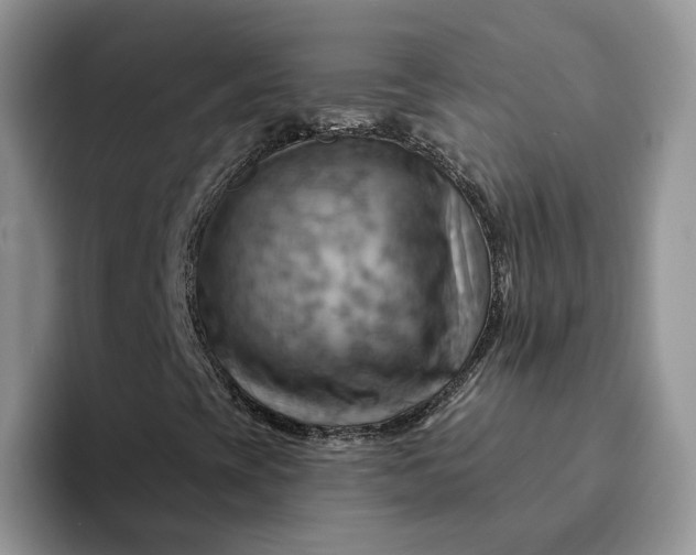 X0000093221393200710171351