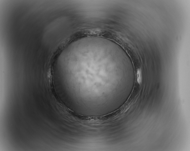 X0000093221395200710171351