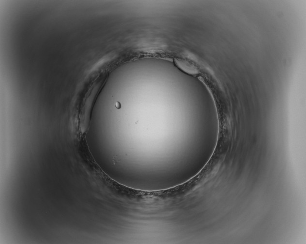 X0000093221398200710171351