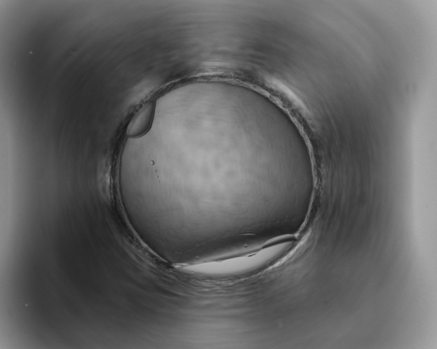 X0000093221403200710171351