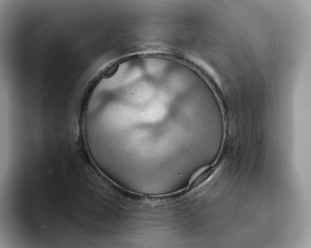 X0000093221407200710171351