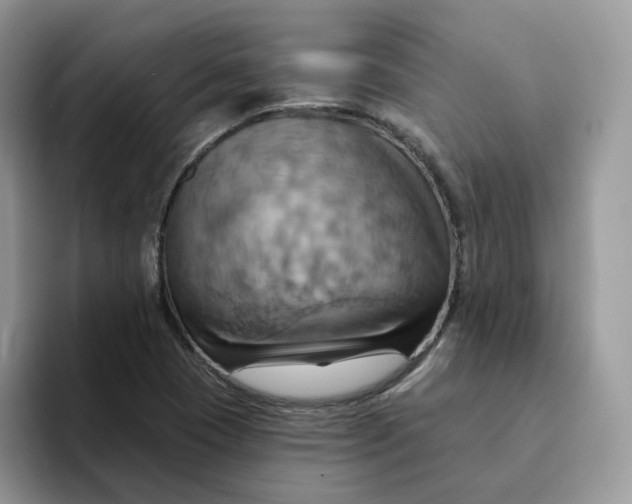 X0000093221409200710171351