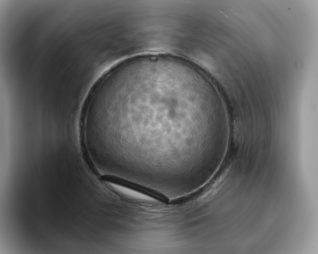 X0000093221412200710171351