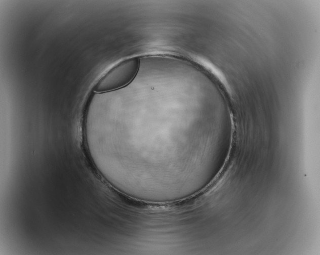 X0000093221415200710171351