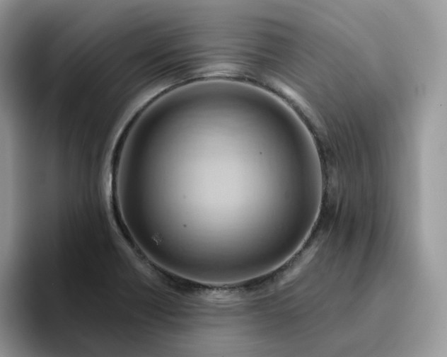 X0000093221418200710171351