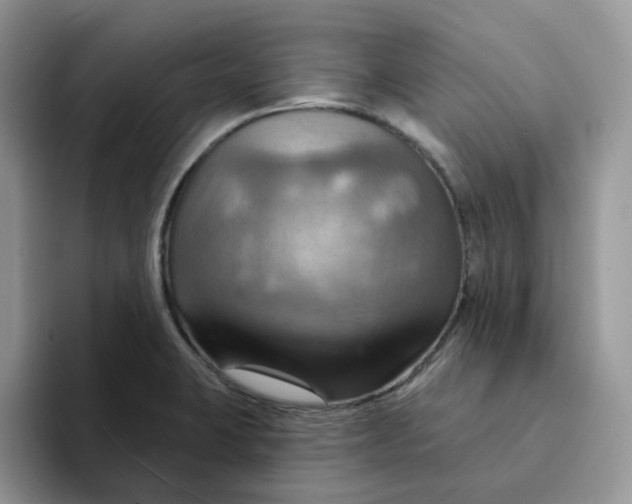 X0000093221423200710171351