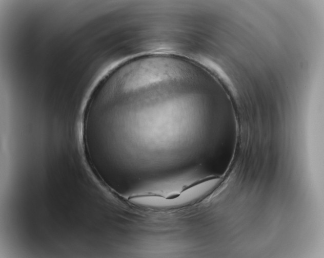 X0000093221424200710171351