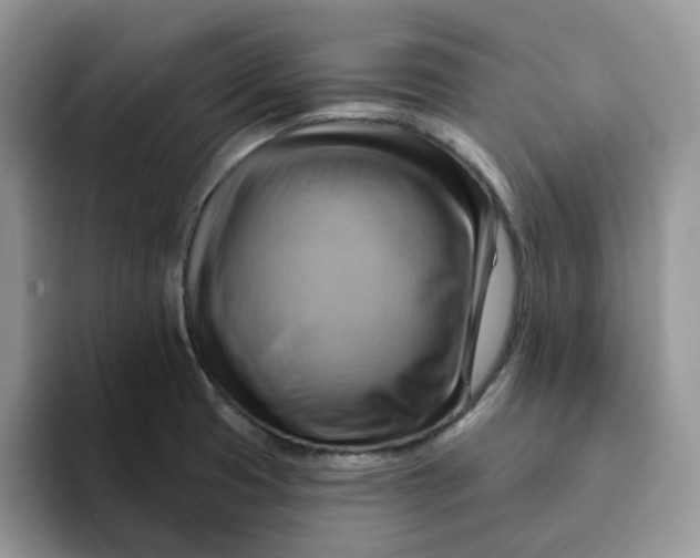 X0000093221425200710171351