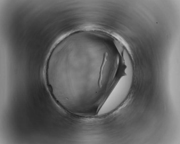 X0000093221429200710171351