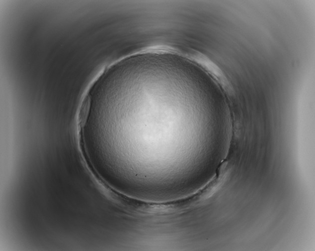 X0000093221430200710171351