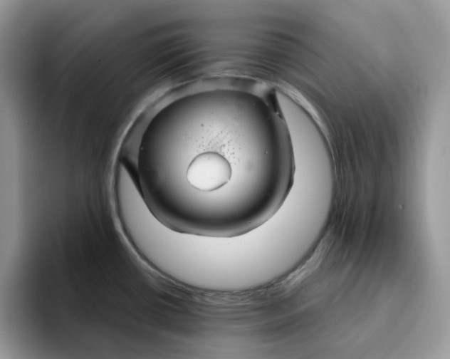 X0000093221434200710171351