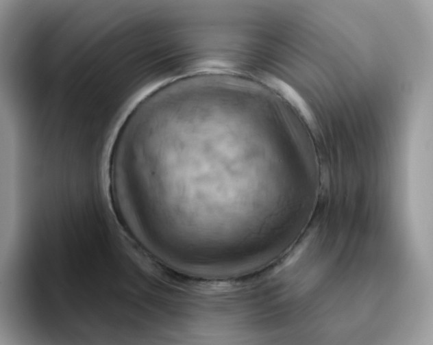 X0000093221435200710171351