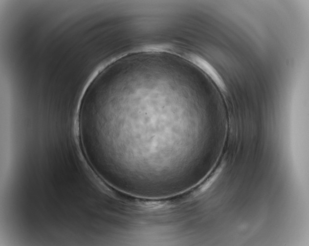 X0000093221436200710171351