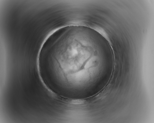 X0000093221440200710171351