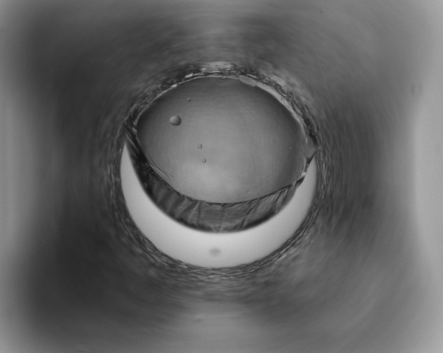 X0000093221445200710171351