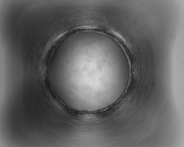 X0000093221448200710171351