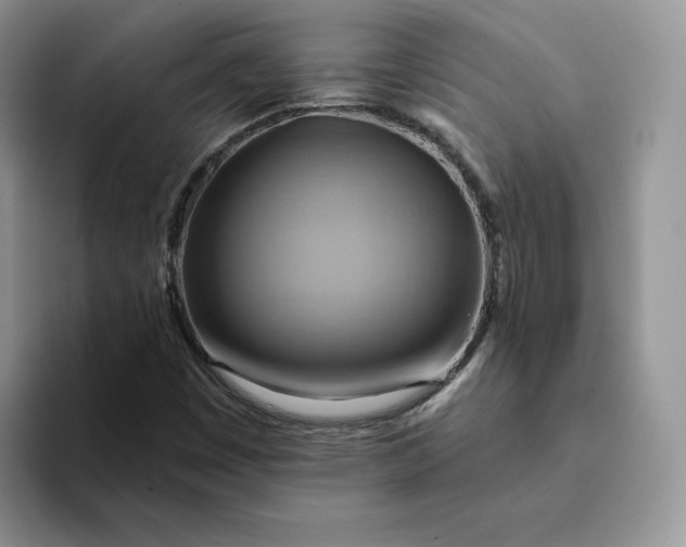 X0000093221449200710171350