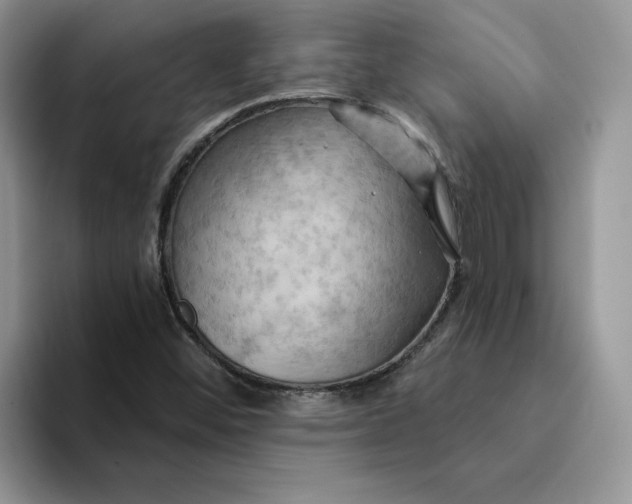 X0000093221452200710171350