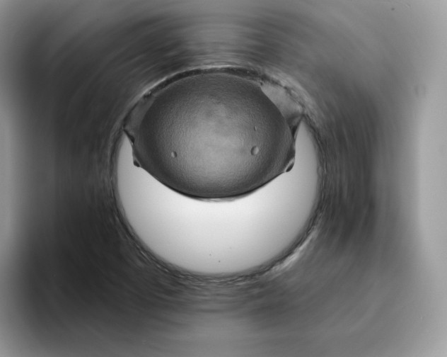 X0000093221457200710171350