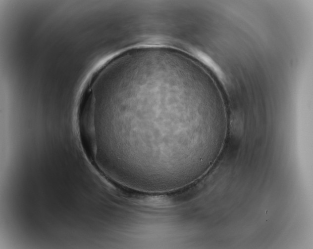 X0000093221464200710171350