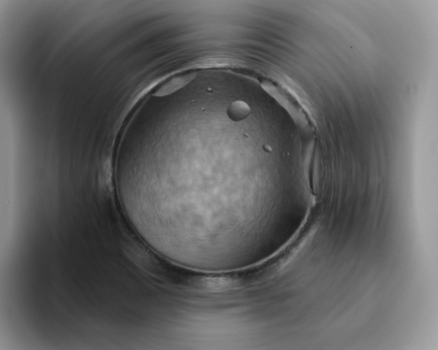 X0000093221465200710171350