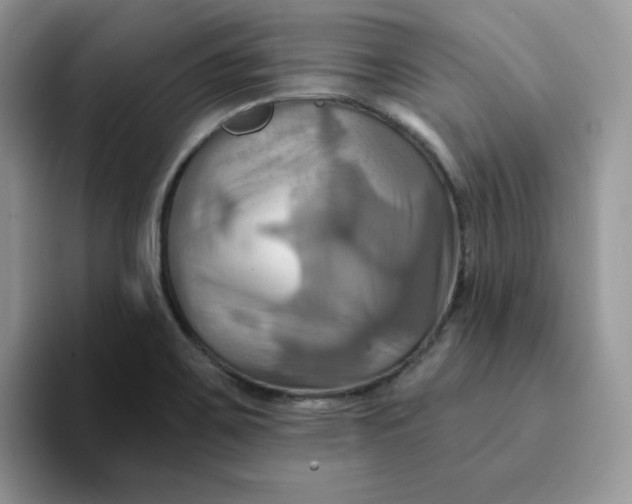 X0000093221467200710171350