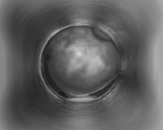 X0000093221471200710171350