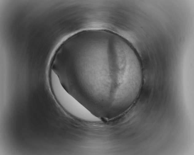 X0000093221472200710171350