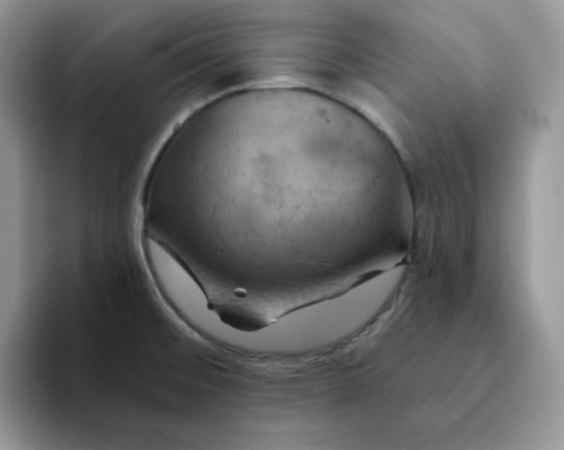 X0000093221476200710171350