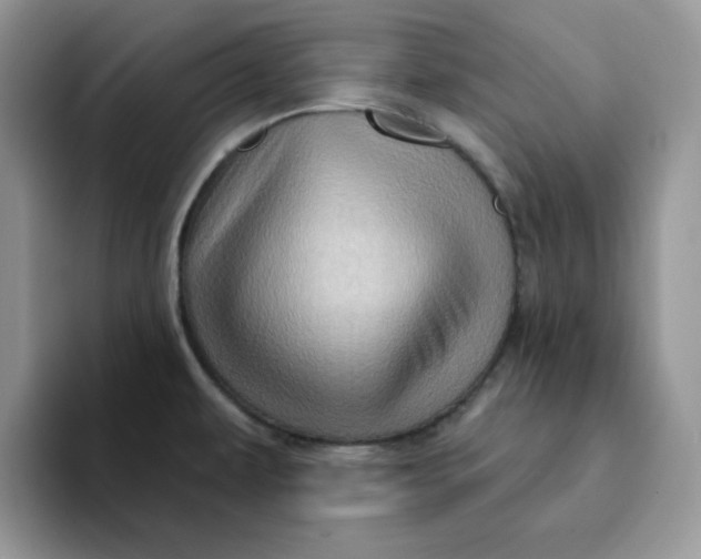 X0000093221479200710171350