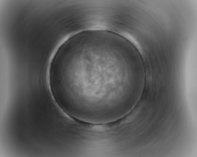 X0000093221480200710171350