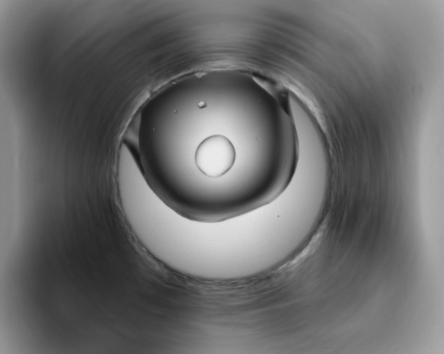 X0000093221481200710171350