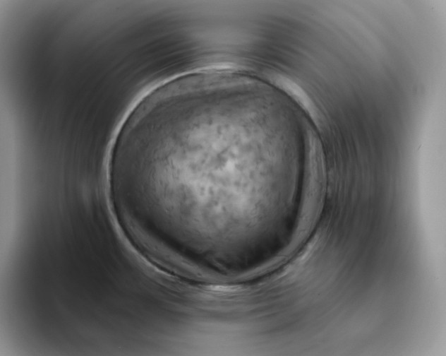 X0000093221483200710171350