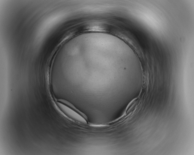 X0000093221487200710171350