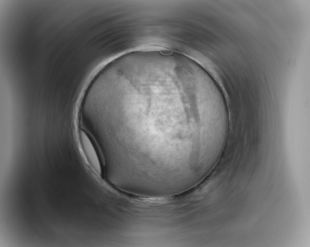 X0000093221488200710171350