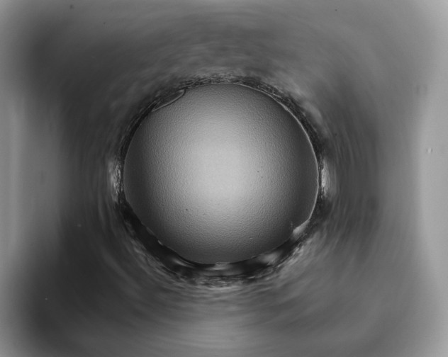 X0000093221492200710171350