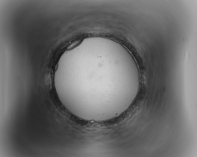 X0000093221493200710171350