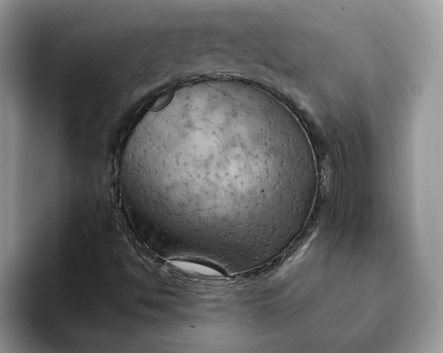 X0000093221494200710171350